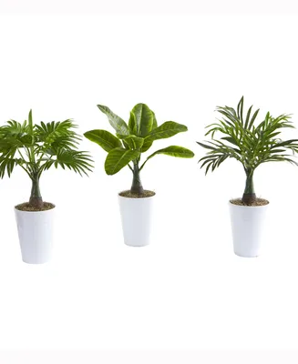 Nearly Natural 18in. Assorted Mini Palm and Banana Artificial Plant in White Planter Set of 3