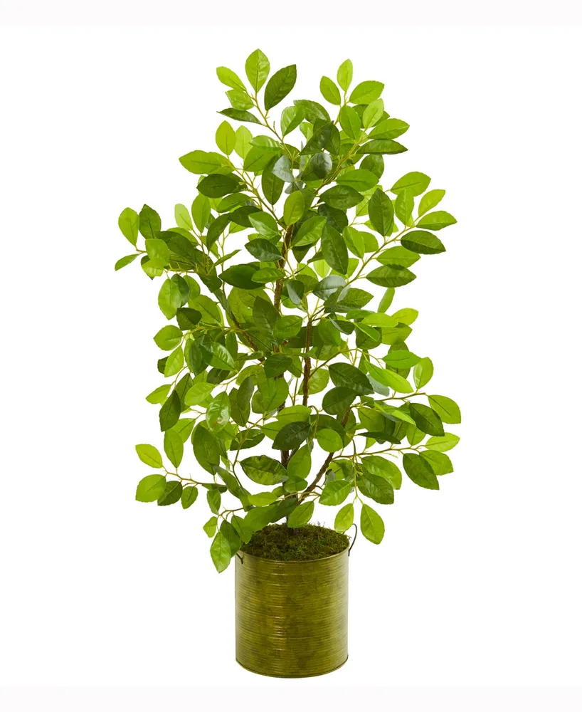 Nearly Natural 37in. Mini Ficus Artificial Tree in Green Planter