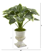 Nearly Natural 24in. Variegated Hosta Artificial Plant in White Urn