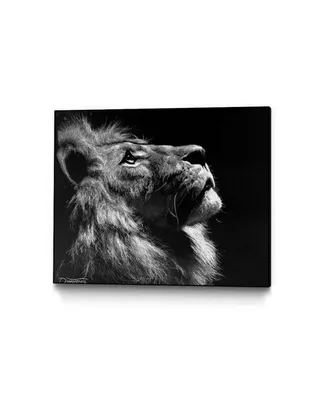 Eyes On Walls Dino Tomic Inverted Lion Art Block Framed Canvas 40" x 32"