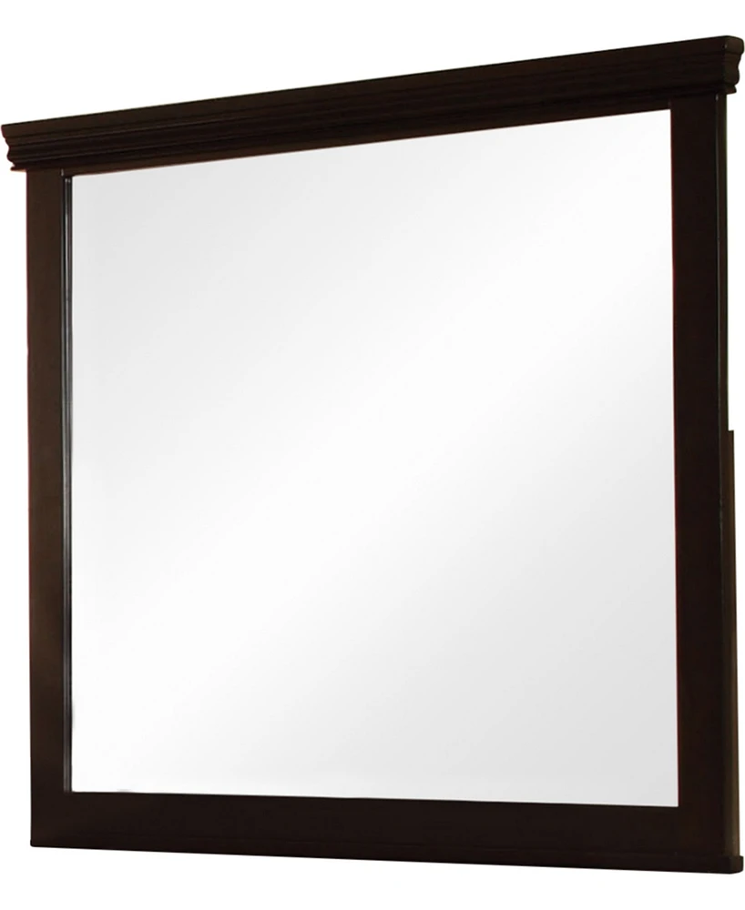 Fanquite Transitional Mirror