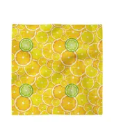 Ambesonne Citrus Slices Set of 4 Napkins