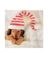 Ambesonne Dachshund Set of 4 Napkins