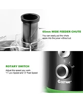 Costway Electric Juicer Wide Mouth Fruit & Vegetable Centrifugal Juice Extractor 2 Speed