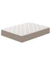 Dusk & Dawn 12" Medium Plush Mattress- Queen