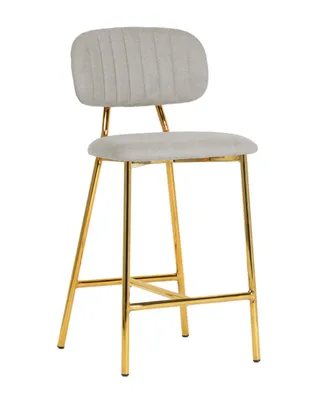 Tov Furniture Ariana Counter Stool, Set of 2