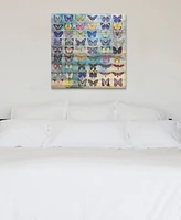 Empire Art Direct Butterflies Arte de Legno Digital Print on Solid Wood Wall Art, 36" x 36" x 1.5"