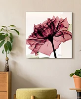 Empire Art Direct Chianti Rose I Frameless Free Floating Tempered Glass Panel Graphic Wall Art, 24" x 24" x 0.2"