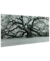 Empire Art Direct Growth Frameless Free Floating Tempered Art Glass Wall Art by Ead Art Coop, 36" x 72" x 0.2"