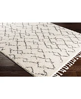 Livabliss Berber Shag Bbe-2301 Charcoal 3'1" x 4'11" Area Rug