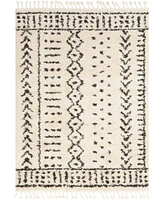 Surya Berber Shag Bbe Charcoal Area Rug