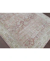 Amer Rugs Century Cen-8 Salmon 3'11" x 5'11" Area Rug