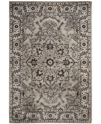 Safavieh Antiquity At58 Gray and Beige 4' x 6' Area Rug