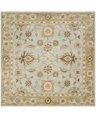 Safavieh Antiquity At856 Mist and Sage 6' x 6' Square Area Rug