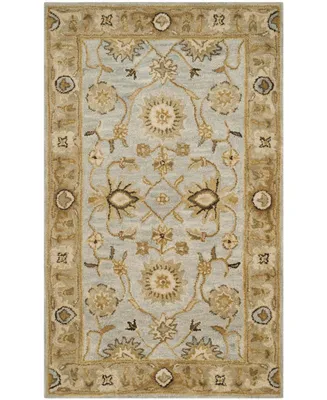 Safavieh Antiquity At856 Mist and Sage 4' x 6' Area Rug