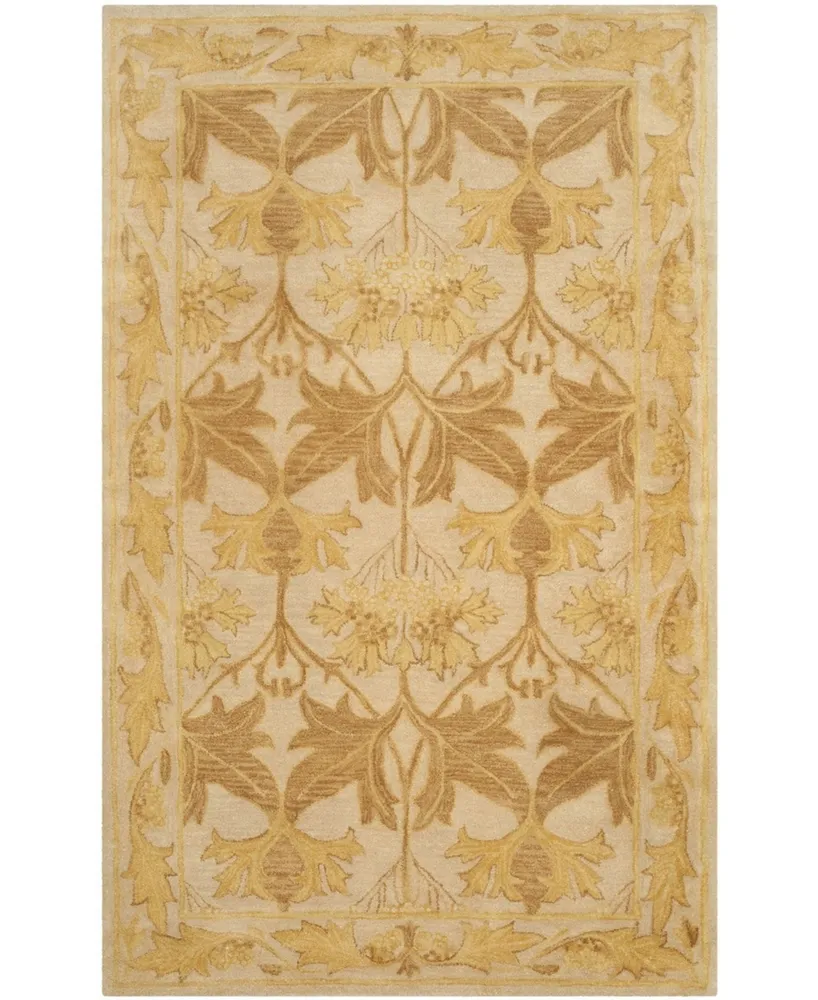 Safavieh Antiquity At841 Beige and Gold 5' x 8' Area Rug