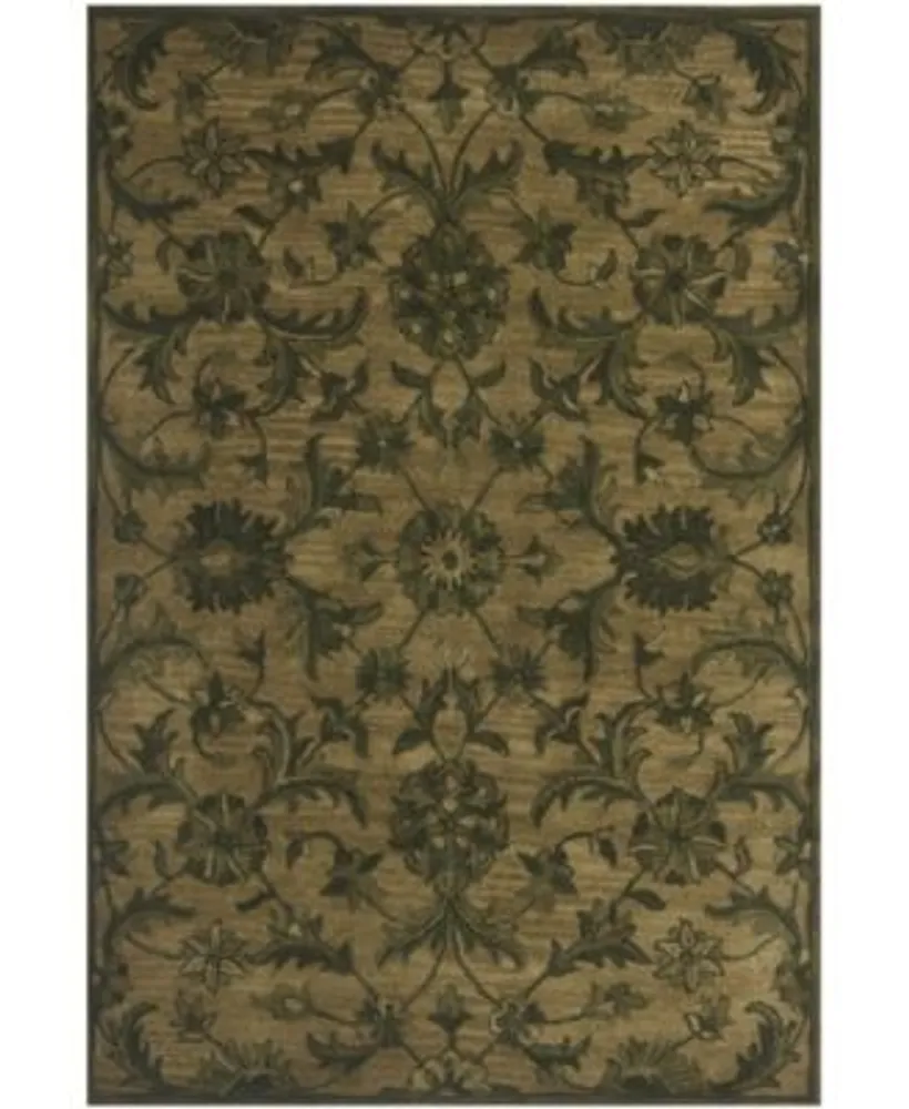 Safavieh Antiquity At824 Area Rug