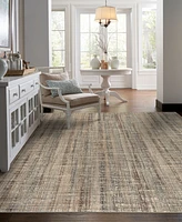 Karastan Elements Fowler Beige 2' x 3' Area Rug