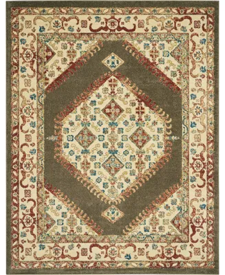 Nourison Home Traditional Antique TRQ03 Brown 8' x 11' Area Rug