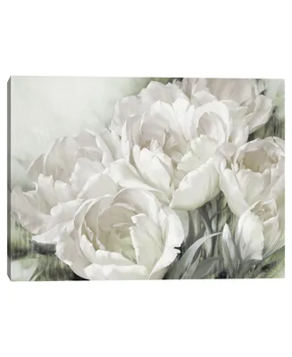Angelique Tulips Ii White by Igor Levashov Canvas Art Print
