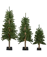 Northlight Pre-Lit Slim Alpine Artificial Christmas Trees