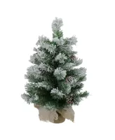 Northlight 2' Unlit Flocked Pine Artificial Christmas Tree in Burlap Base