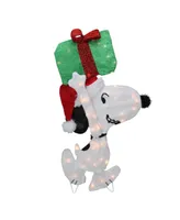 Northlight Pre-Lit Peanuts Snoopy with A Present Christmas Outdoor Decor