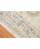 Amer Rugs Bohemian Bhm- Beige 5'" x 7'6" Outdoor Area Rug