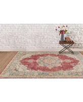 Amer Rugs Century Cen- / 5'3" x 7'3" Area Rug