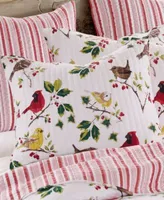 Levtex Joybirds Watercolor Etched Quilt Sets