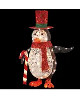 National Tree Company 36" Penguin with Led Lights