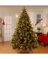 National Tree 9' Carolina Pine Tree with 900 Clear Lights