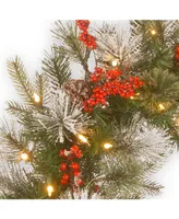 National Tree Company 30" Feel Real Wintry Berry Collection Wreaths with Big Pine Cones, Red Berries & Snowy Bristle with 50 Warm White Battery Operat