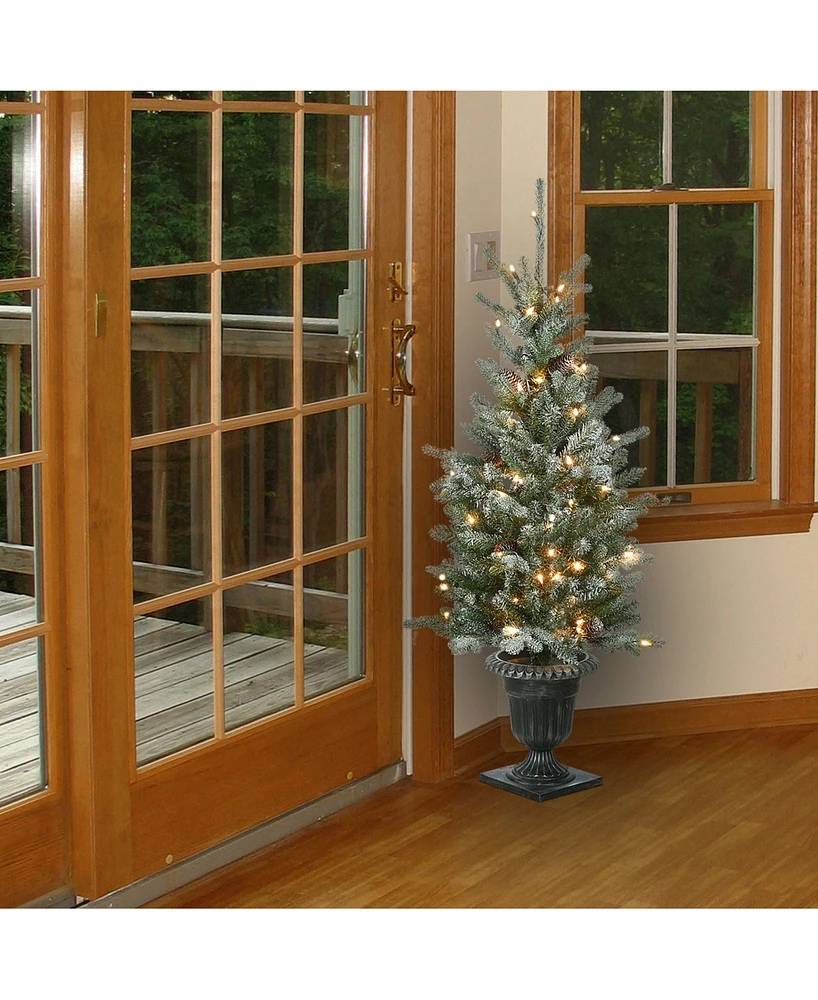 National Tree Company Snowy Morgan Spruce Entrance Tree with Clear Lights