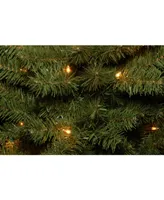 National Tree 4' Canadian Fir Grande Wrapped Tree with 100 Clear Lights