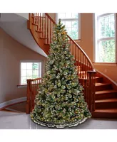 National Tree Glittery Bristle Pine With 900 Clear Lights