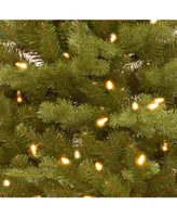 National Tree 3' Feel Real(R) Hampton Spruce Small Wrapped Tree in Growers Pot with 100 Clear Lights