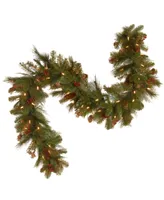 National Tree 6' Noelle Garland with 60 SoftWhite Led Battery Operated Lights