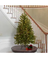 National Tree 4.5' North Valley Spruce Hinged Tree with 200 Clear Lights