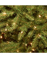 National Tree 7' Dunhill Fir Hinged Tree with 700 Clear Lights + PowerConnect