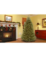 National Tree 7.5' Dunhill Fir Hinged Tree with 750 Clear Lights & PowerConnect System