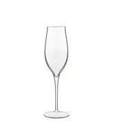 Vinea 6.75 Oz Prosecco Wine Glasses, Set of 2