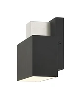 Lynx 1 Light Outdoor Wall Sconce