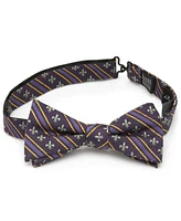 Men's Mardi Gras Stripe Bow Tie