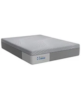 Sealy Posturepedic Hybrid Lacey 13 Soft Mattress Collection