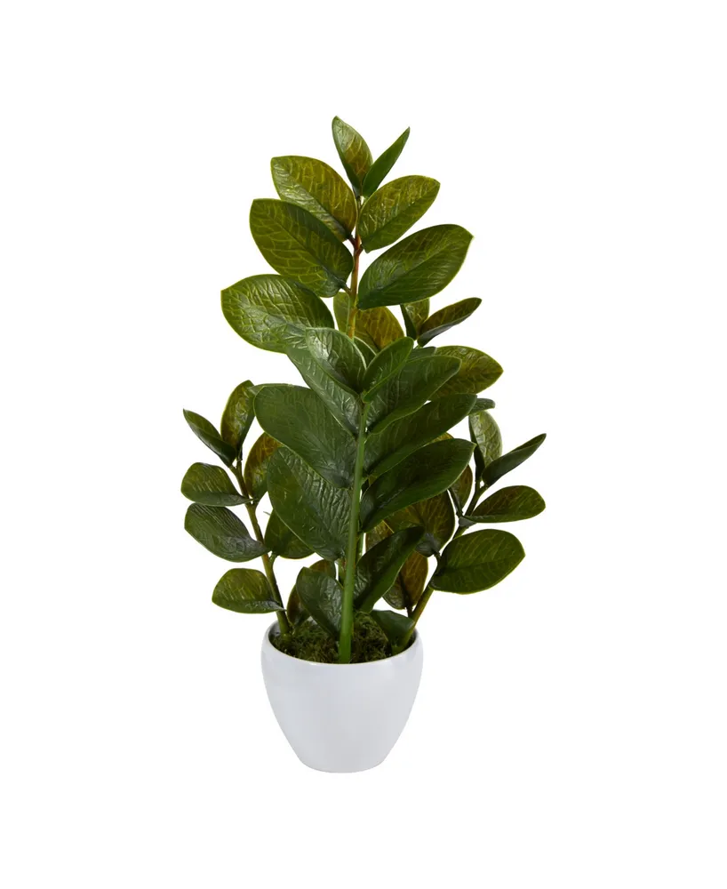 22" Zamioculcas Artificial Plant in Planter