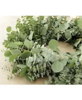 Magnolia Supply Co Fresh Baby Blue and Silver Dollar Eucalyptus Wreath, 20"