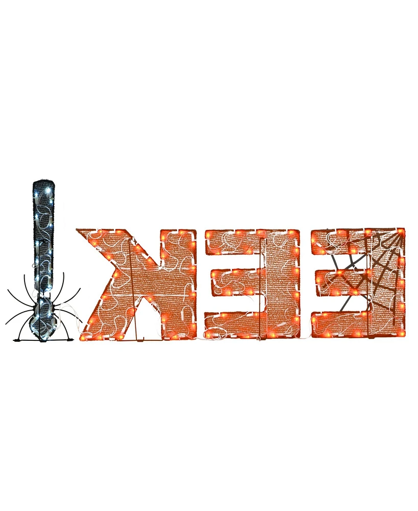 National Tree Company 50" Pre-Lit Halloween Eek Decoration