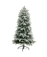 Flocked North Carolina Fir Artificial Christmas Tree with 350 Warm Lights and 1247 Bendable Branches, 5'