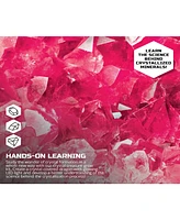 Discovery #Mindblown Crystal Creatures Set